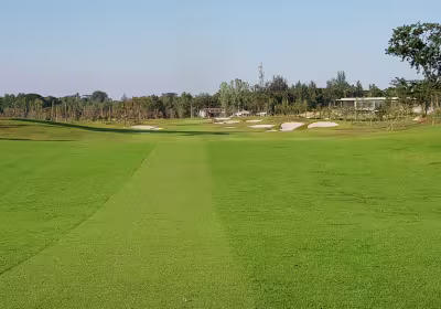 Dagon Golf City