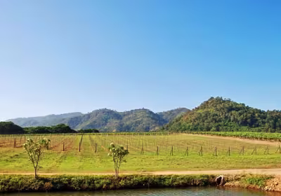 Khao Yai Golf Resort Package