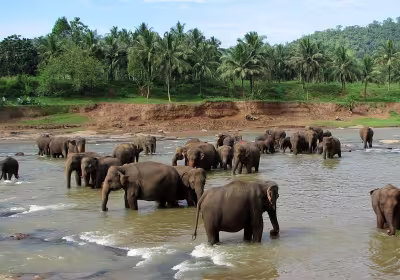Sri Lanka Golf Explorer Holiday