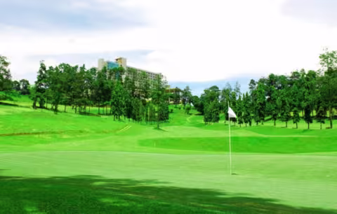 Dago Heritage 1917 Golf Course