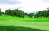 Dago Heritage 1917 Golf Course
