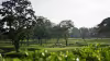 Suvarna Jakarta Golf Club
