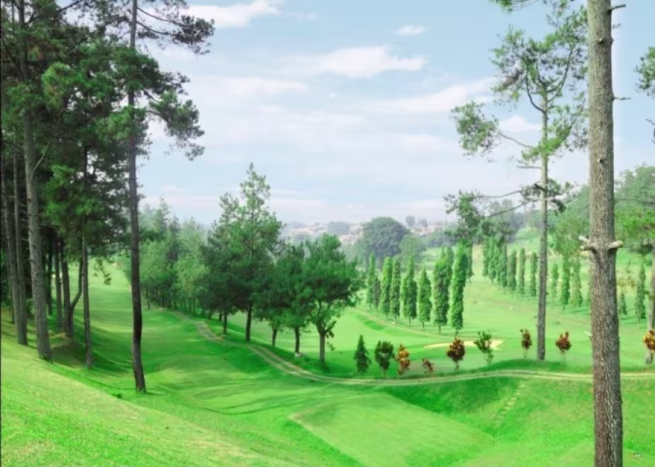 Dago Heritage 1917 Golf Course