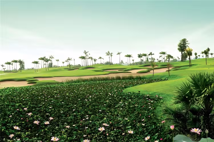 Emerald Country Club