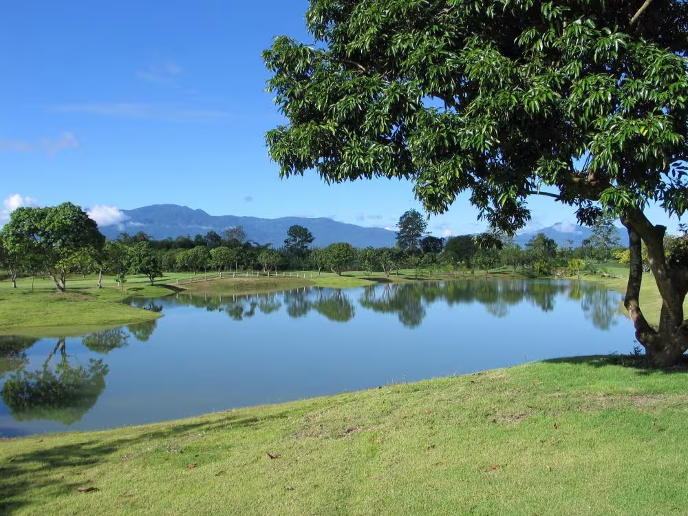 Mae Jo Golf Club