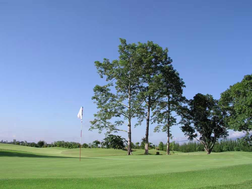 Mae Jo Golf Club