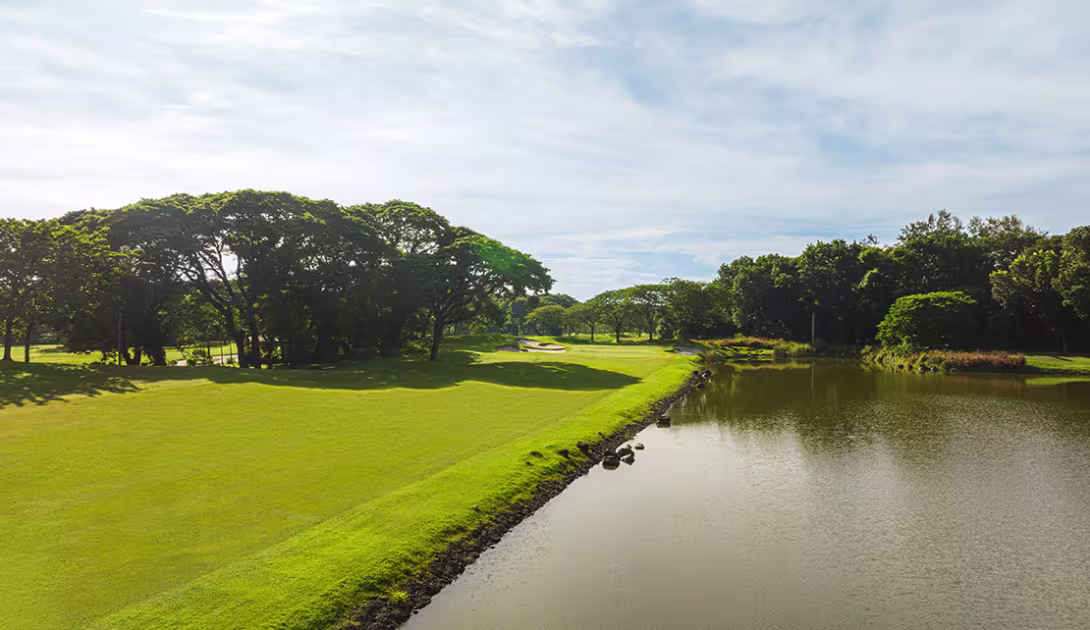 Mimosa Plus Golf Course