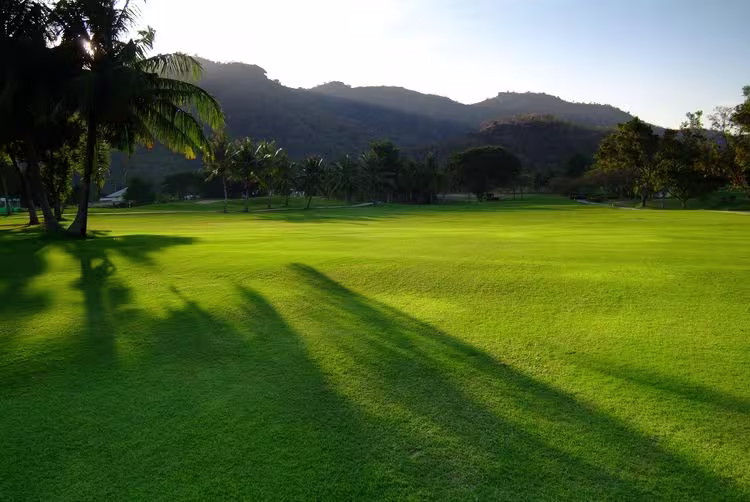 Palm Hills Golf Resort and Country Club