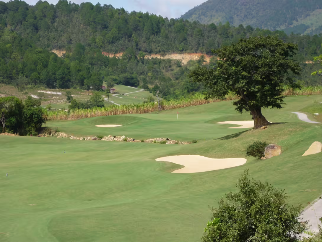 The Dalat at 1200 Country Club