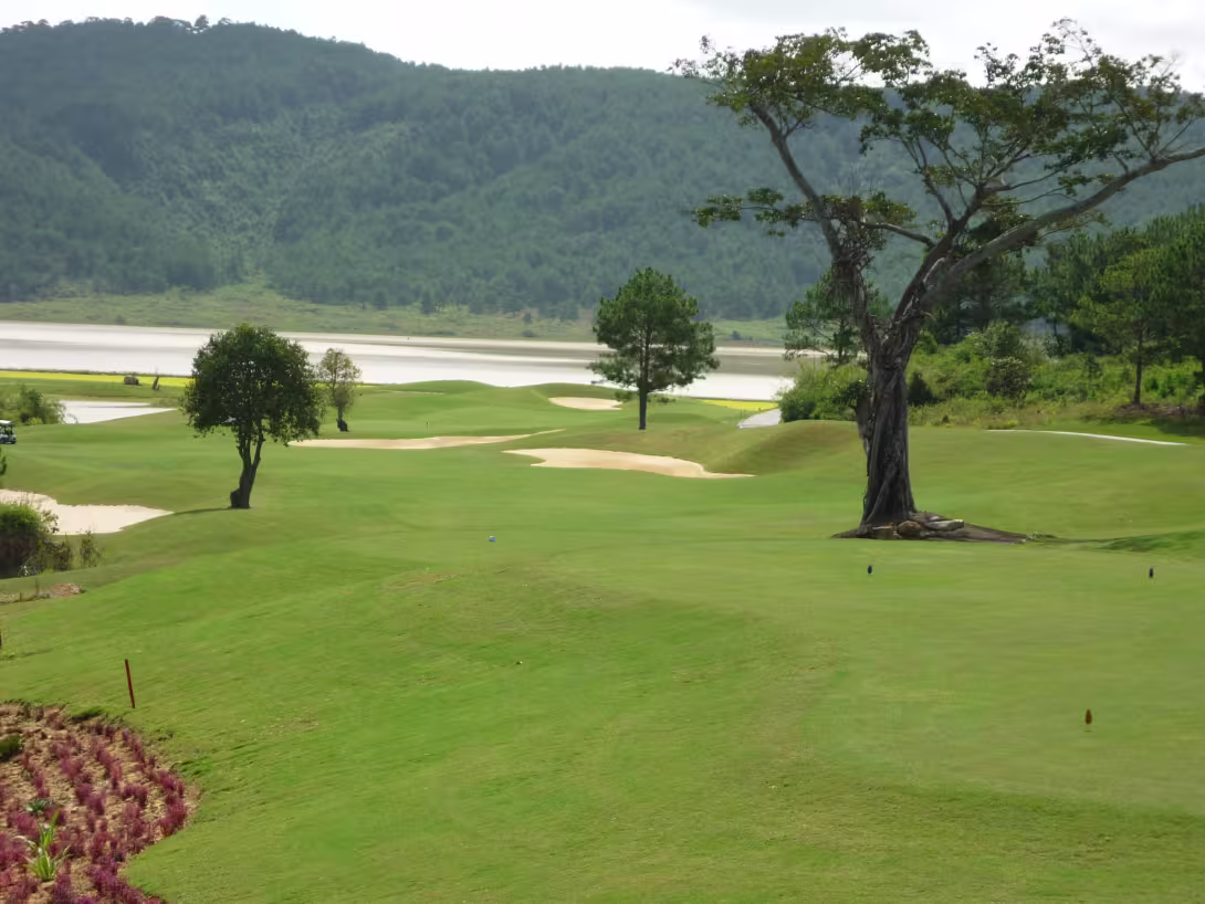 The Dalat at 1200 Country Club