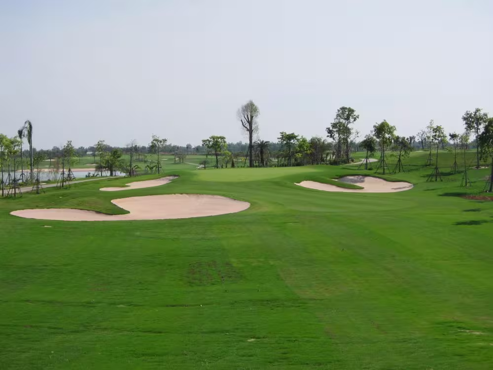 The RG City Golf Club - Dream Arena