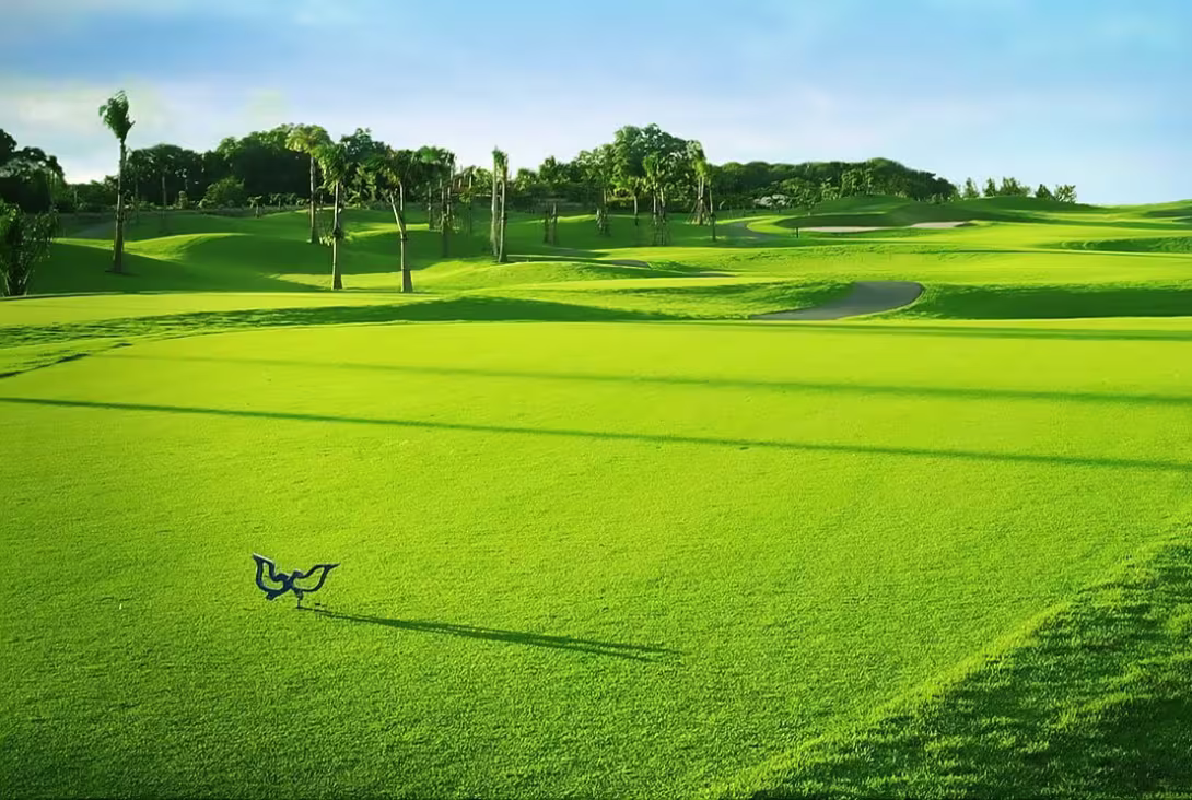 Twin Doves Golf Club